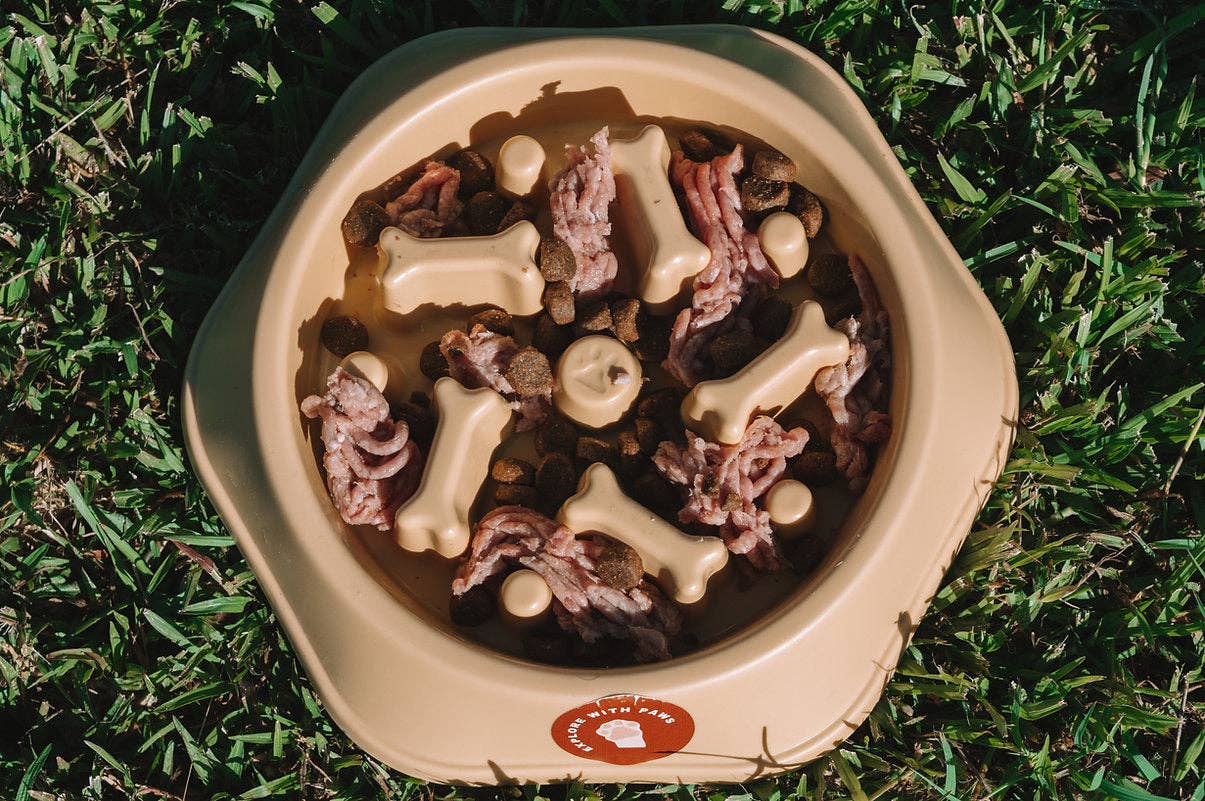 Moondidley Pets - Wholesale Pet bowl – Cat/dog - Slow Feeder Bowl - Explore with Paws