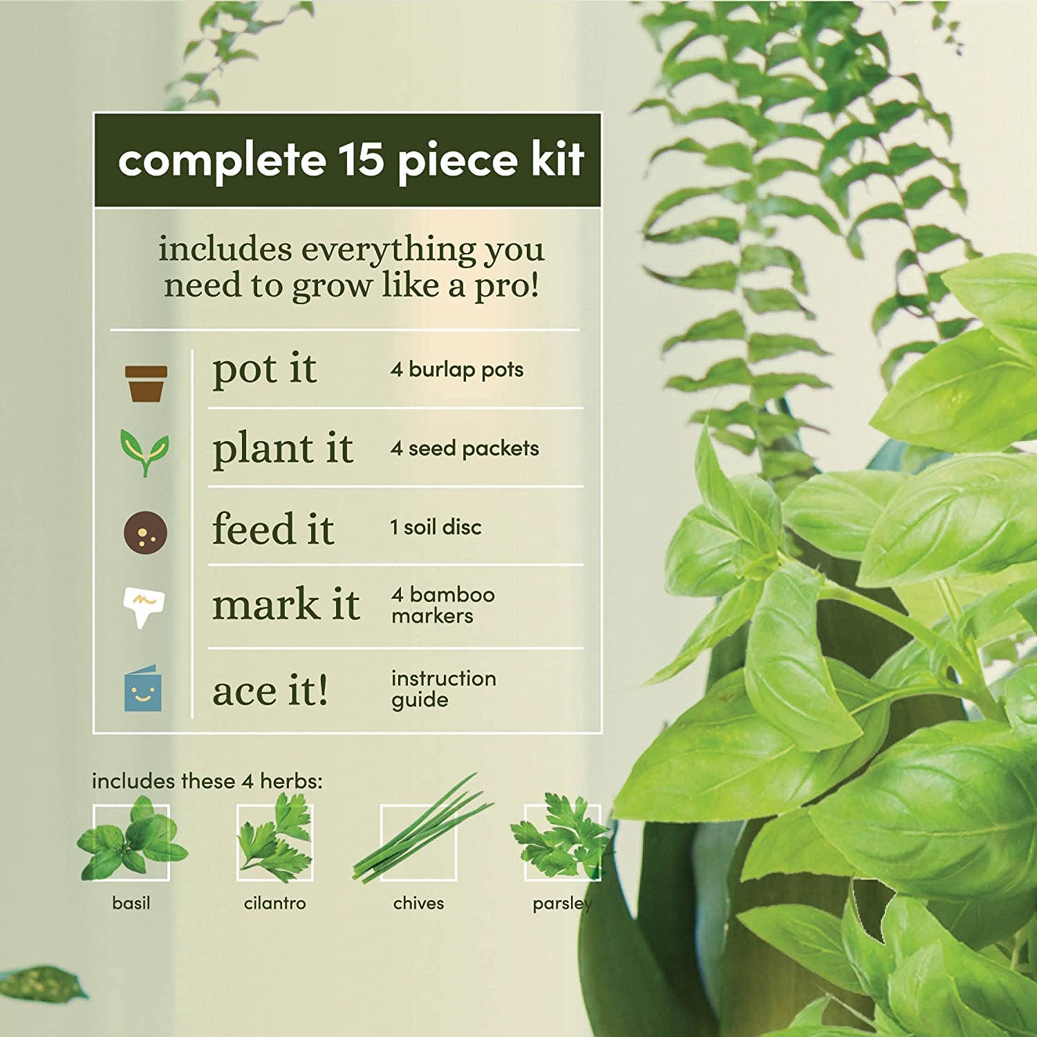 Planter's Choice - Wholesale Plant Seeds - Herb Growing Kit3