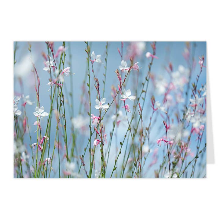 Klappkort "Hvid Pragtlys II" for engroshandel hos paruspaper. nutzfeine papeterie