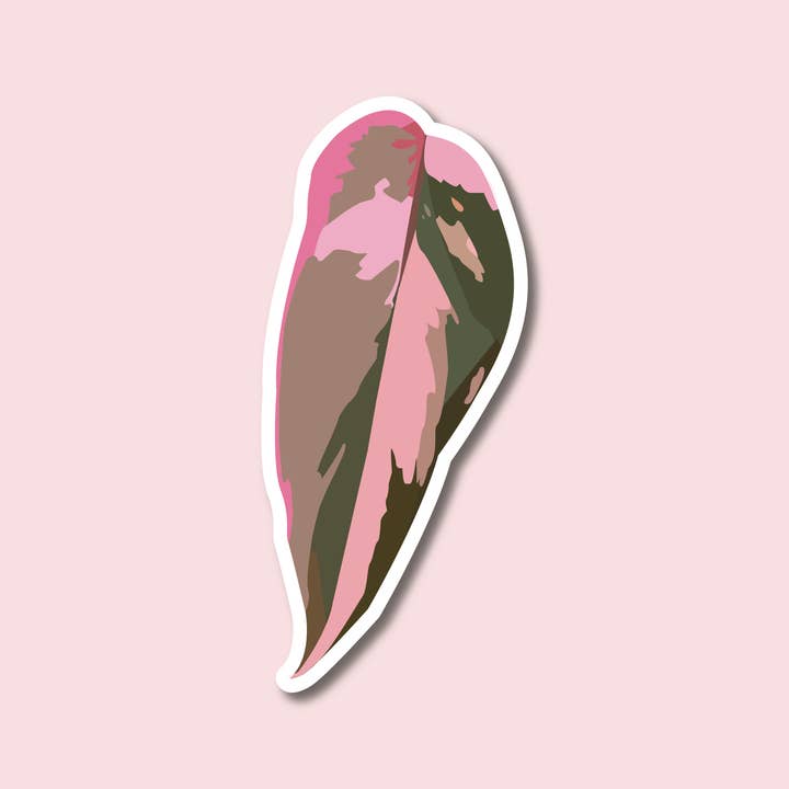 Sage & Oak - Wholesale Sticker - Pink Princess Philodendron Leaf 3" Waterproof Sticker2