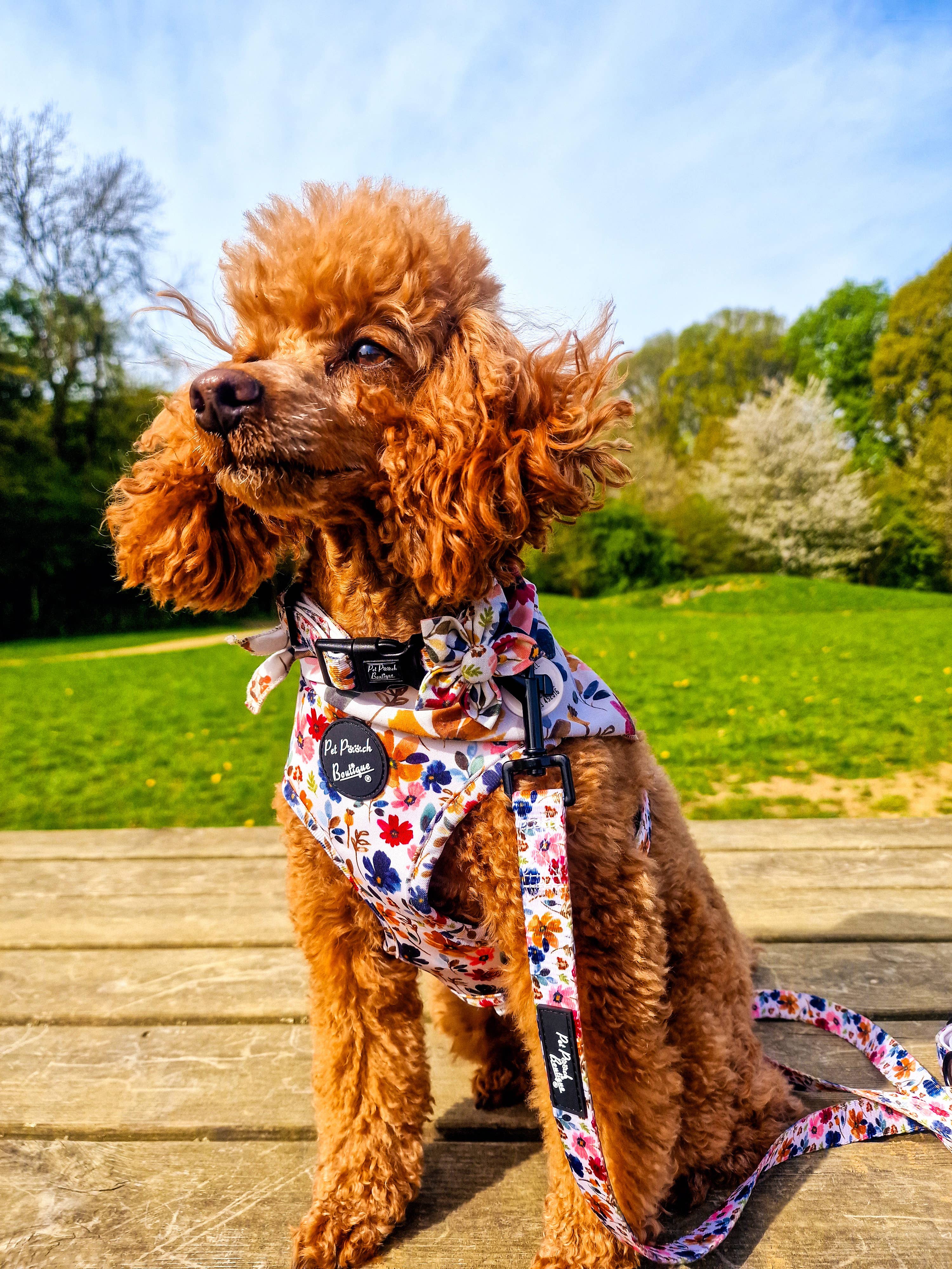 Pet Pooch Boutique - Wholesale Pet Collar - Dog - Little Enchanted Meadows Floral Dog Collar/Opt Accessory2