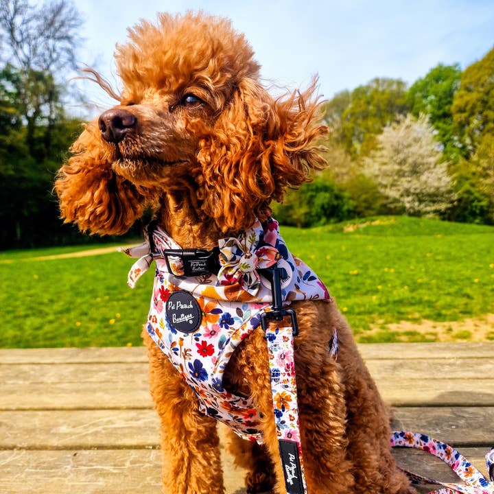 Pet Pooch Boutique - Wholesale Pet collar – Dog - Little Enchanted Meadows Floral Dog Collar/Opt Accessory2