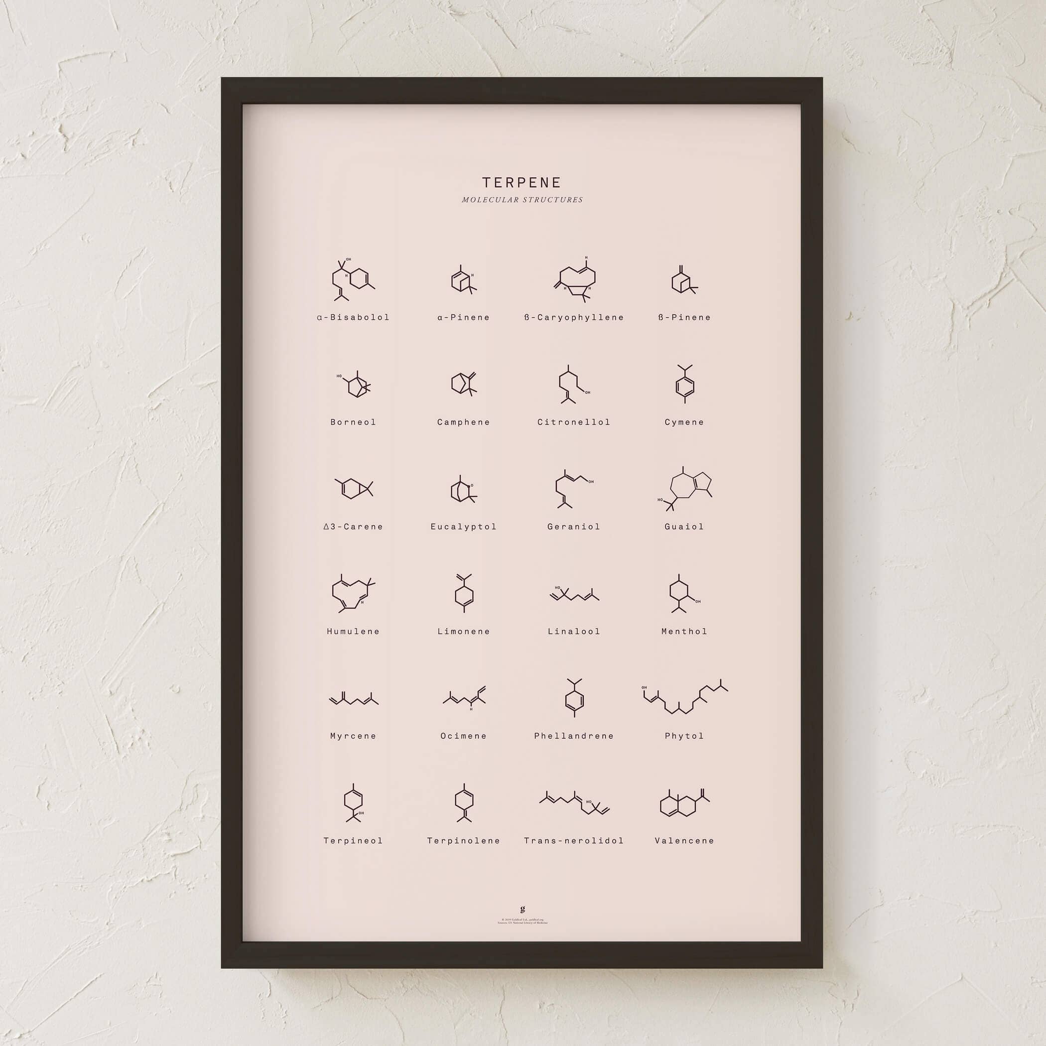 Goldleaf – Großhandel Kunstdruck – Diagramm mit molekularen Terpenstrukturen drucken8
