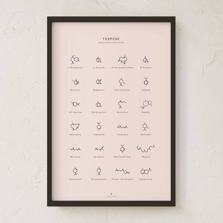 Goldleaf – Großhandel Kunstdruck – Diagramm mit molekularen Terpenstrukturen drucken8