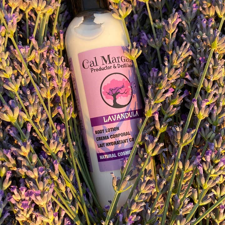 CAL MARGARIT - Wholesale Body Cream/Lotion - Lavender & Calendula Body Cream 200 ml