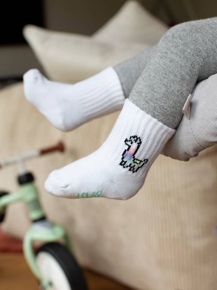 Lama MINI (3 pares) para venta al por mayor de J.Clay