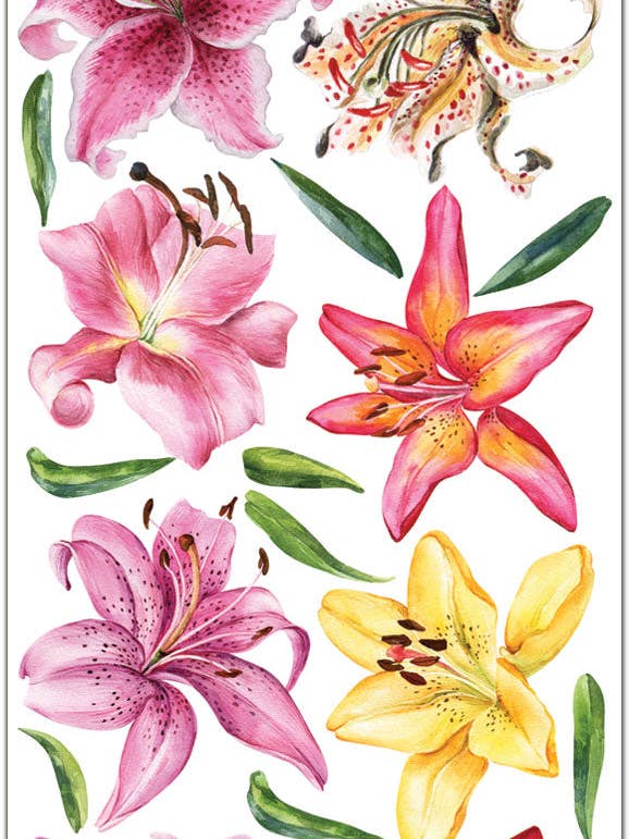 C332 Autocollants Floraux Lys Tigré pour la vente par Violette Stickers