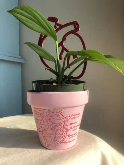 Traliccio anatomico a cuore per la vendita all'ingrosso da parte di CMbeautifuldesigns