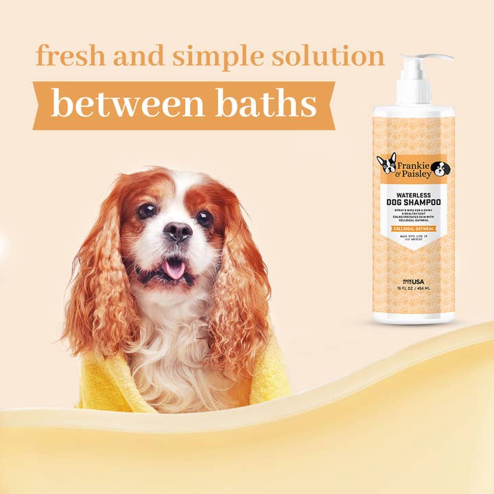 Frankie & Paisley Pet Products - Wholesale Pet Shampoo - Dog - Waterless Dog Shampoo - Colloidal Oatmeal - 16oz4