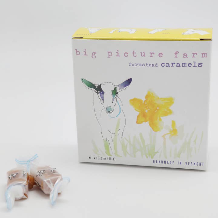 Big Picture Farm - Wholesale Caramel - Daffodil Goat Milk Caramel Box (Spring!)