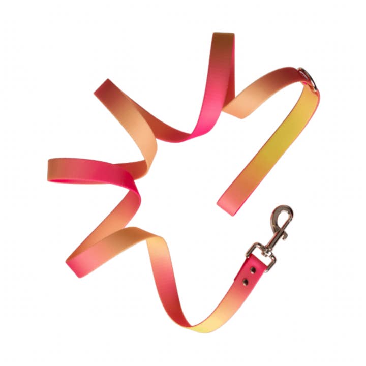 Katelin All Weather Waterdichte Hondenriem | Gemakkelijk Schoon te Maken Riem voor wholesale door Pink Papyrus | Premium, Durable, & Stylish Dog Products