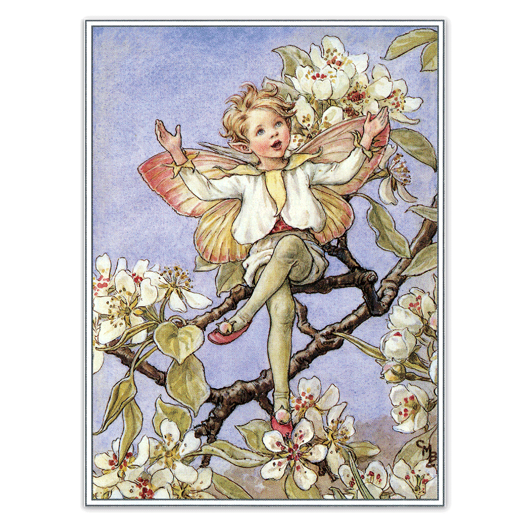 Laughing Elephant – Großhandel Postkarten-Set – Blumenfeen – Alltagliche Postkarten im Set14