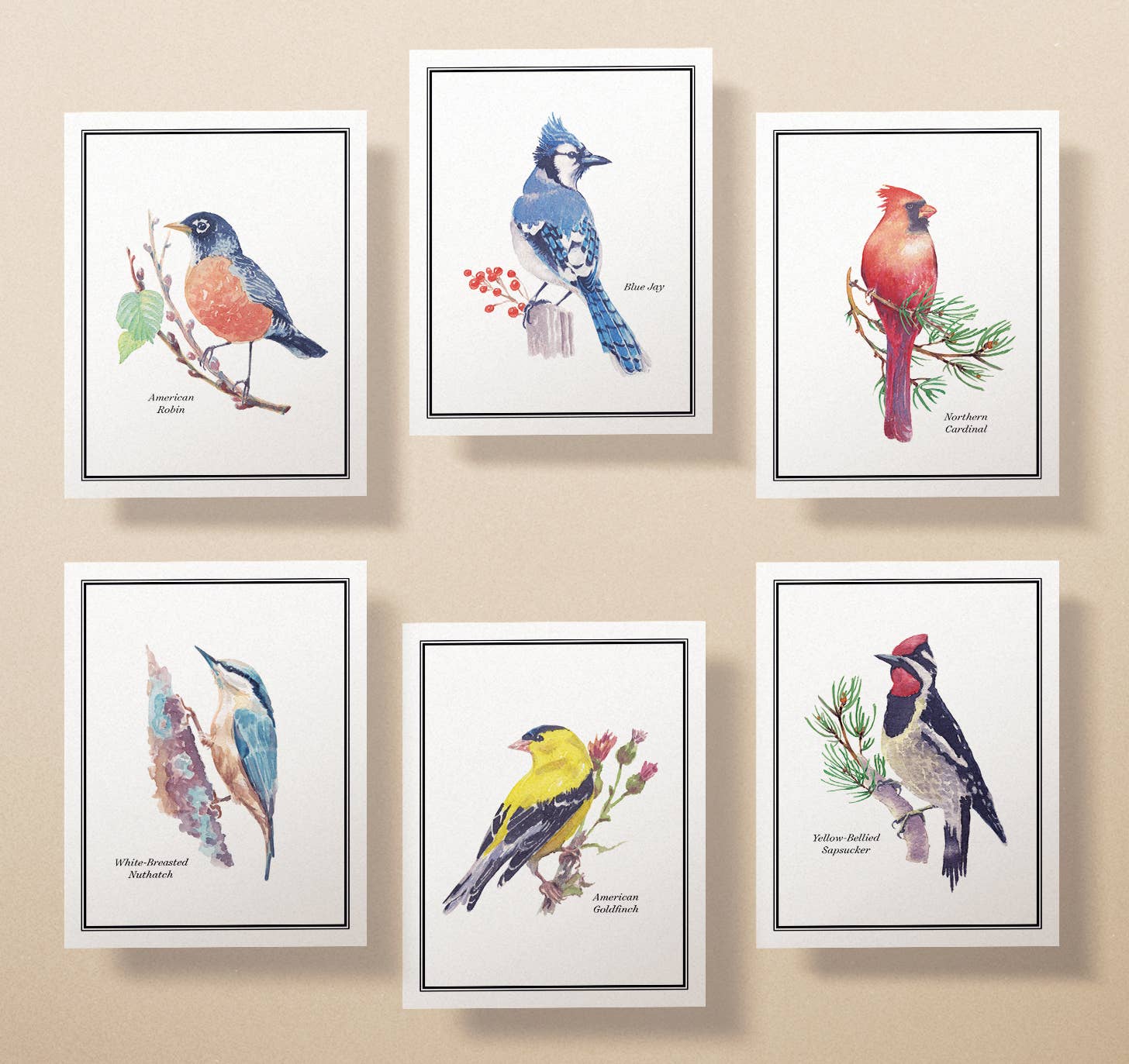 Twigs Paper - Wholesale Stationery/Notecard Set - Birds Greeting Card Set | Assorted Notecards1