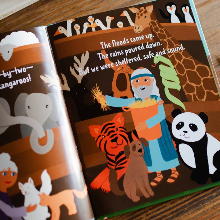 The Daily Grace Co - Wholesale Preschool Book (3-5) - Faithful in the Flood | Children's Book4