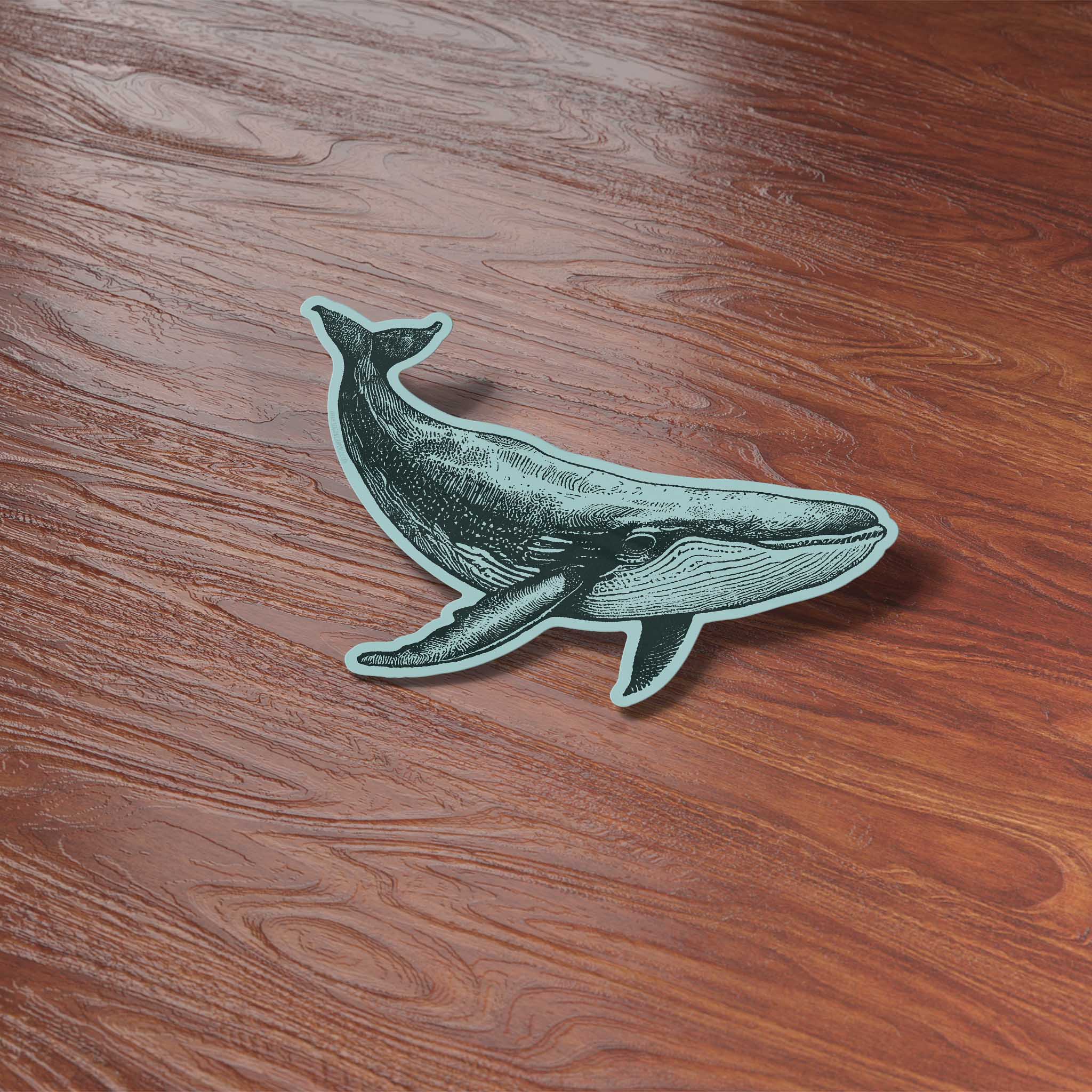 Sentinel Supply - Wholesale Sticker - Humpback Whale Sticker4