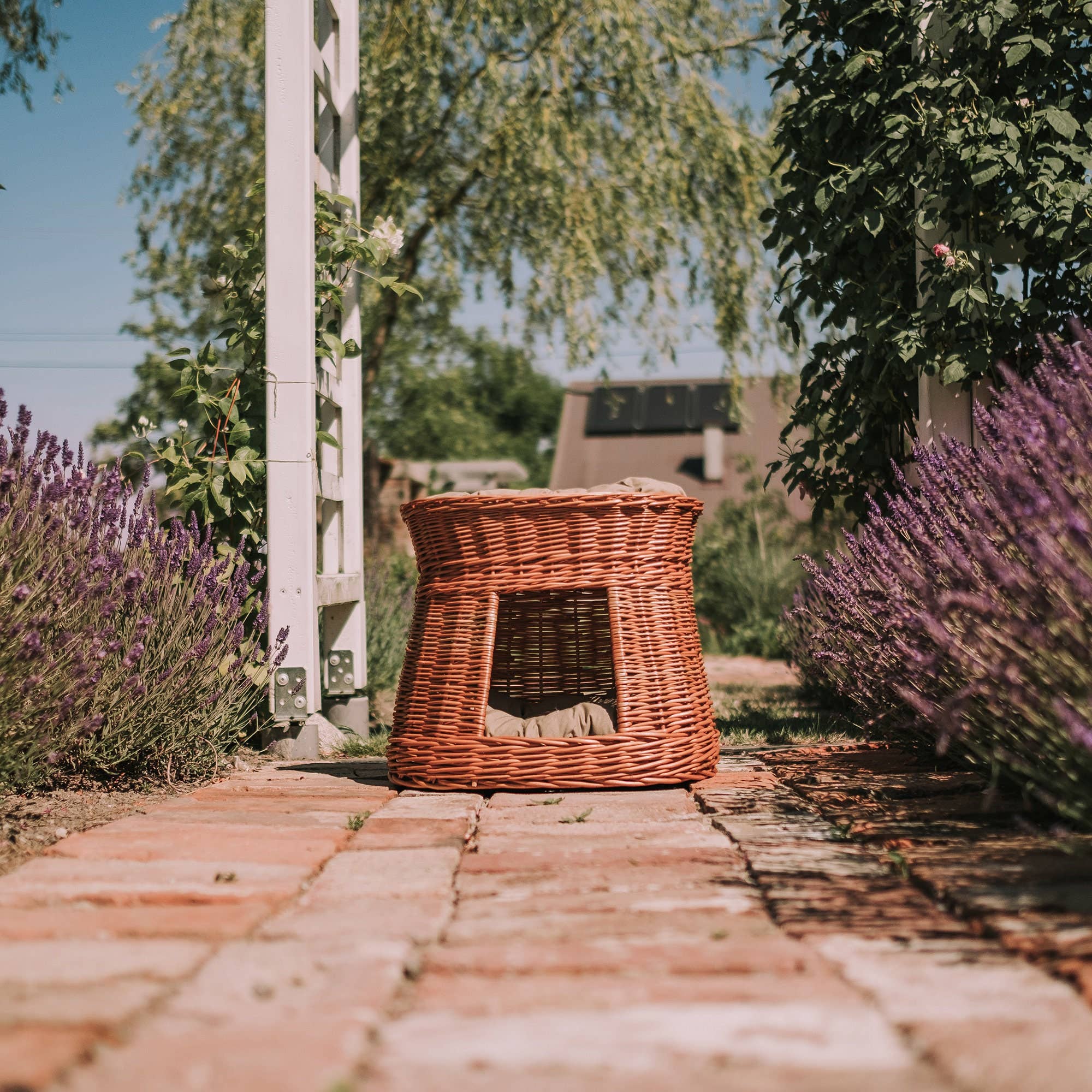 The Wicker Stories - Wholesale Pet Bed - Cat/Dog - Wicker Cat House, Cat Basket, Basket For Small Dog5