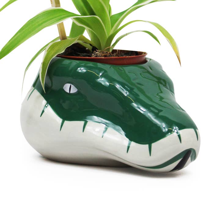 Plant Pot Shaped - Harry Potter (Slytherin) for wholesale by Half Moon Bay