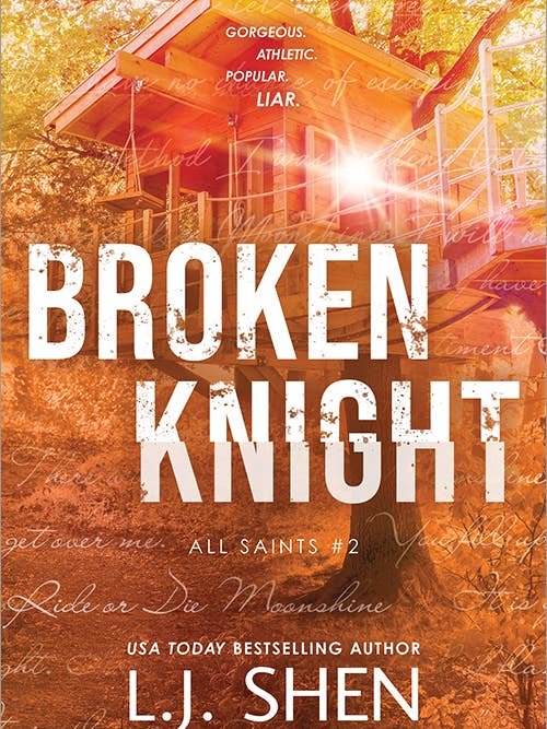 Broken Knight for wholesale by Sourcebooks