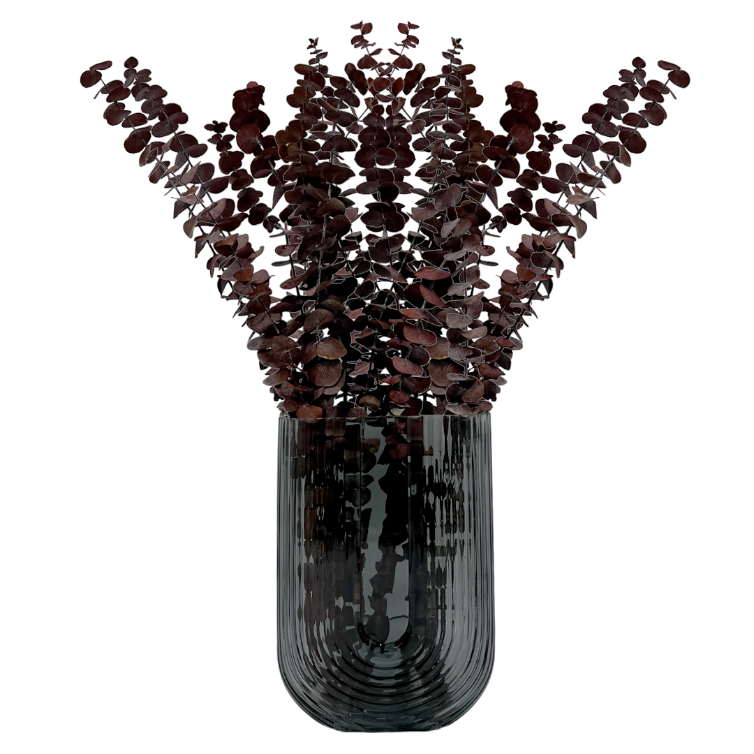 2626 Designs - Vente Fleur séchée/pressée - Feuilles d'eucalyptus petites préservées de 43 à 53 cm de long0