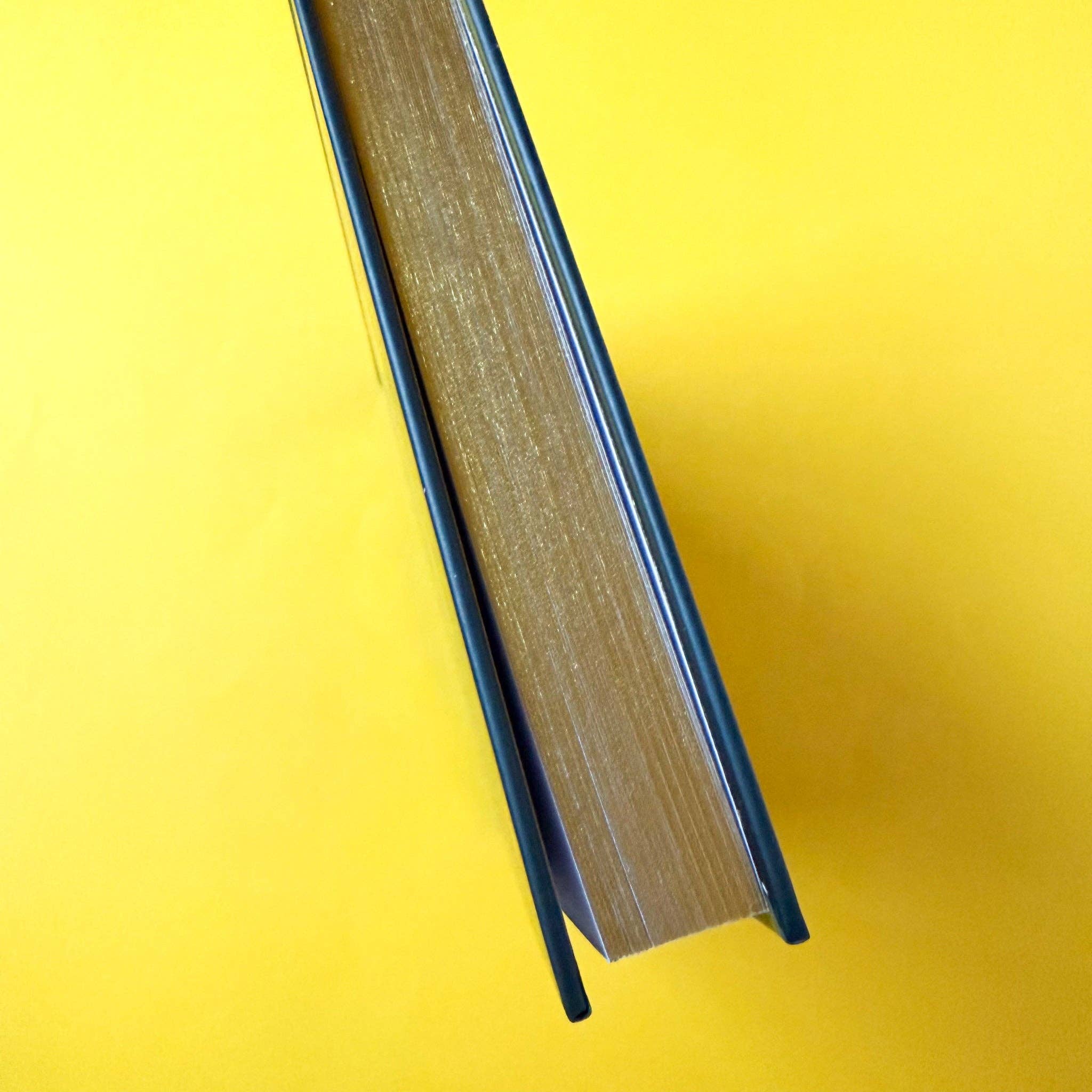 Kitty With A Cupcake - Wholesale Notebook - Gay Agenda Notebook6