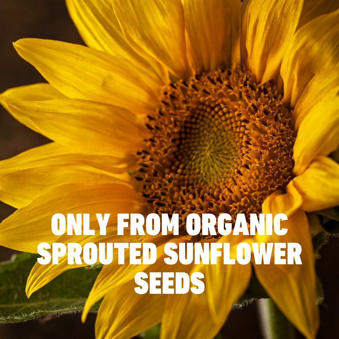 Sun & Seed – wholesale Seeds/kernels – Sprouted & Raw Organic Sunflower Seeds 250g3