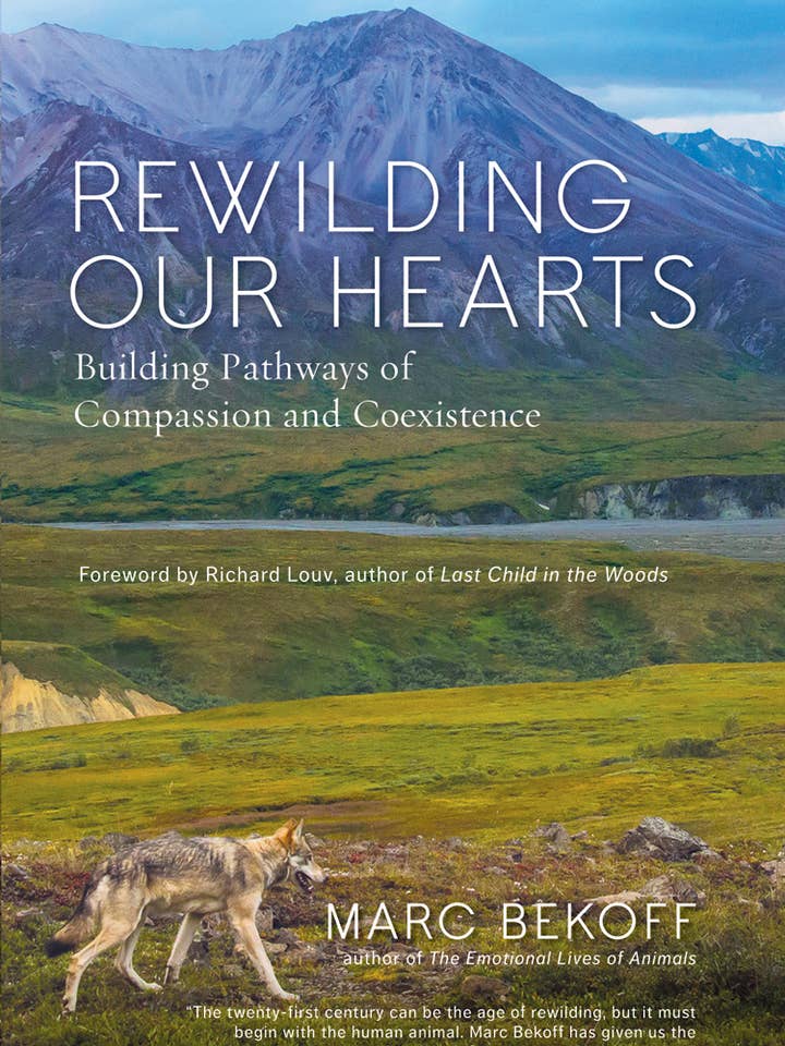 Rewilding Our Hearts PB for wholesale by New World Library