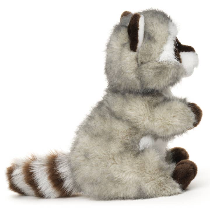 Uni Toys - Wholesale Stuffed/Plush Toy - Kids & Baby - Raccoon, sitting - 21 cm (height) - Cuddle/Plush toy2