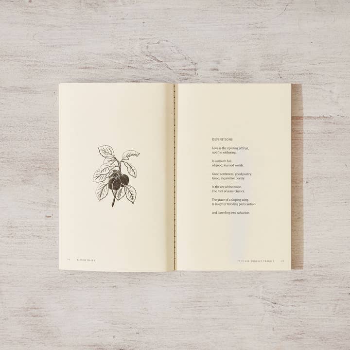 Thought Catalog - Wholesale Book - Adult - It Is All Equally Fragile - poetry book
