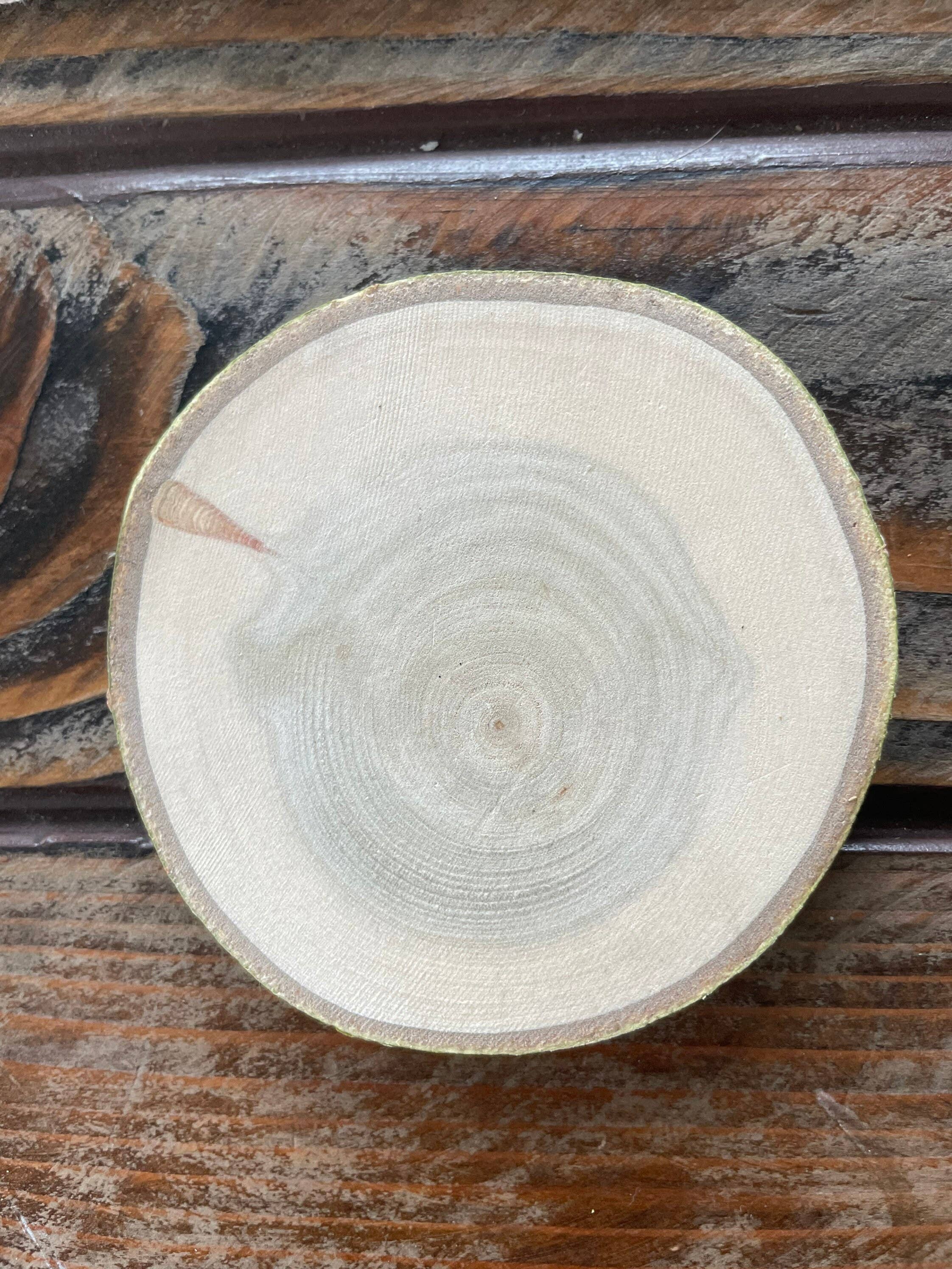 Parks Art Collection - Wholesale Coasters - Bison Coaster, Aspen Wood, Laser Engraved, Buffalo Art5