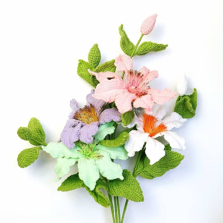 Clématiques pour la vente par The Way to You Canada