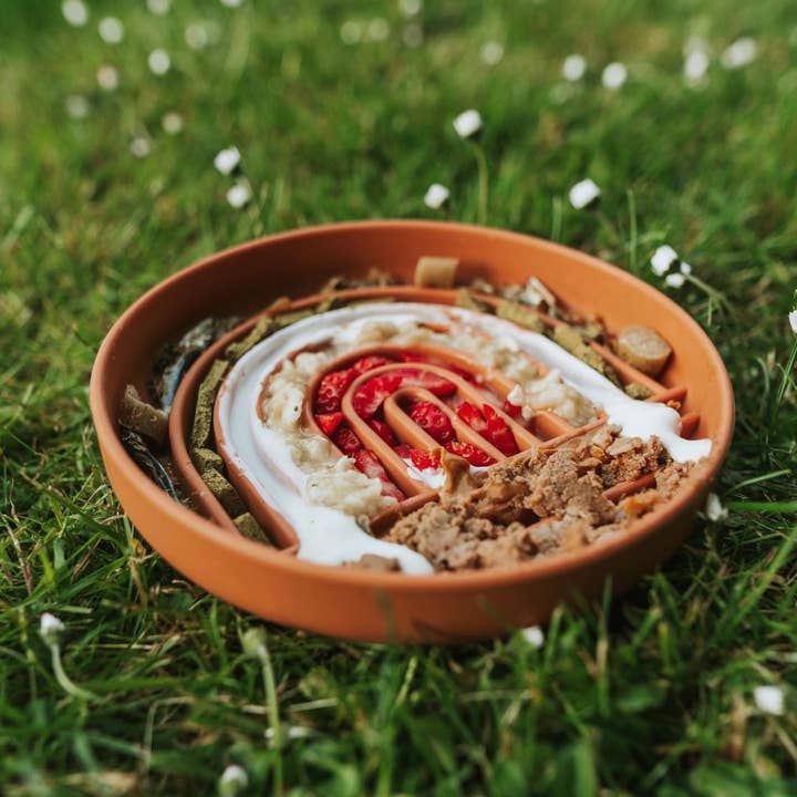 Bodhi & The Birchtree - Wholesale Pet bowl – Dog - Rainbow Enrichment Bowl Terracotta2