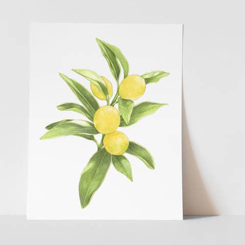 Lemon Branch Print for wholesale by Hey Hon
