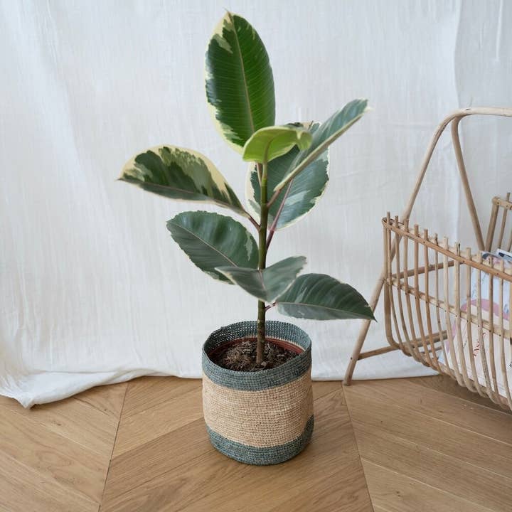 Flowrette - Wholesale Basket - Mahala raffia basket3