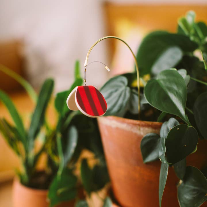 Twenty Two West - Wholesale Decorative Figurine - Plant Butterfly FW25 1