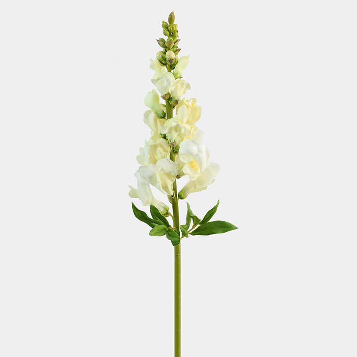 Real Touch Yellow Snapdragon 23” and other Purchase Wholesale snapdragon. Free Returns & Net 60 Terms on Faire trending on Faire.
