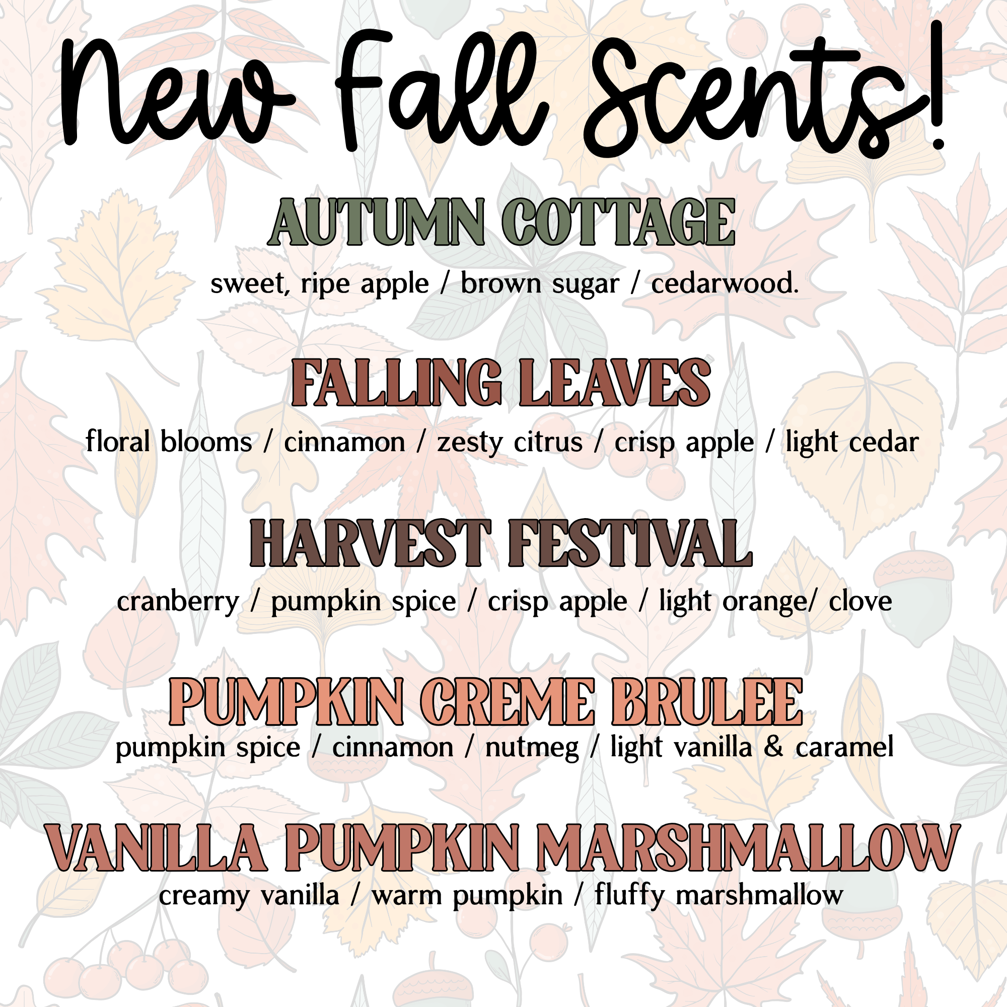 Vroom Blooms - Vente Désodorisant pour voiture – unisexe - Recharge d'huiles parfumées pour diffuseur voiture plante - Huiles de recharge uniquement3