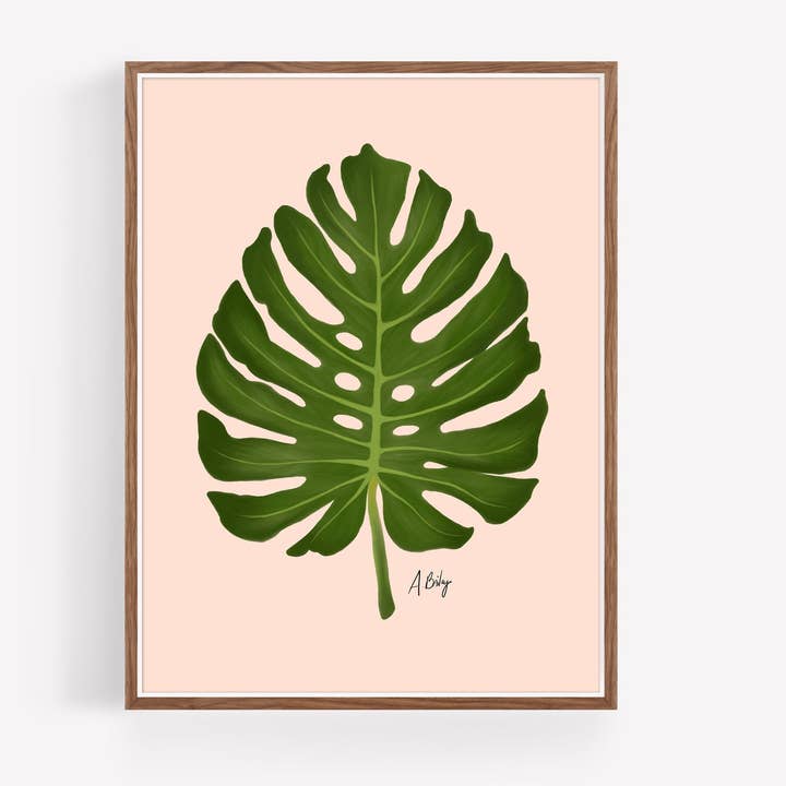 Monstera - leaf illustration print for wholesale by Annie Bailey Art