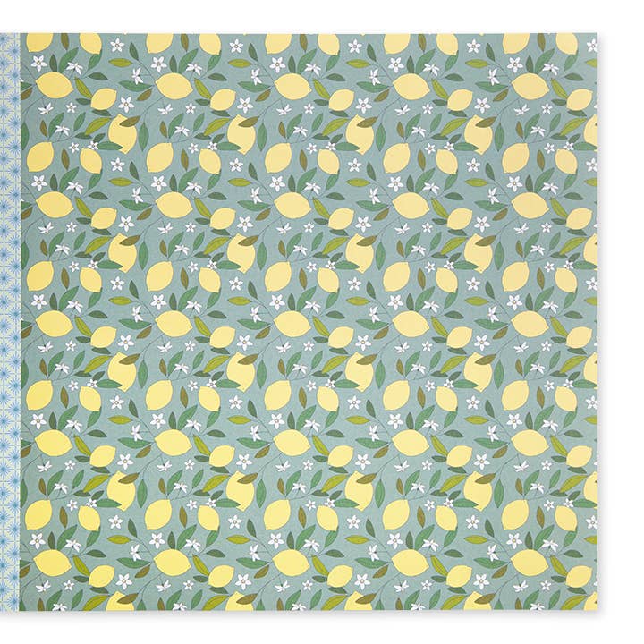 Edicare Editora, Lda. - Wholesale Origami/Kirigami Paper - GIGAMI3