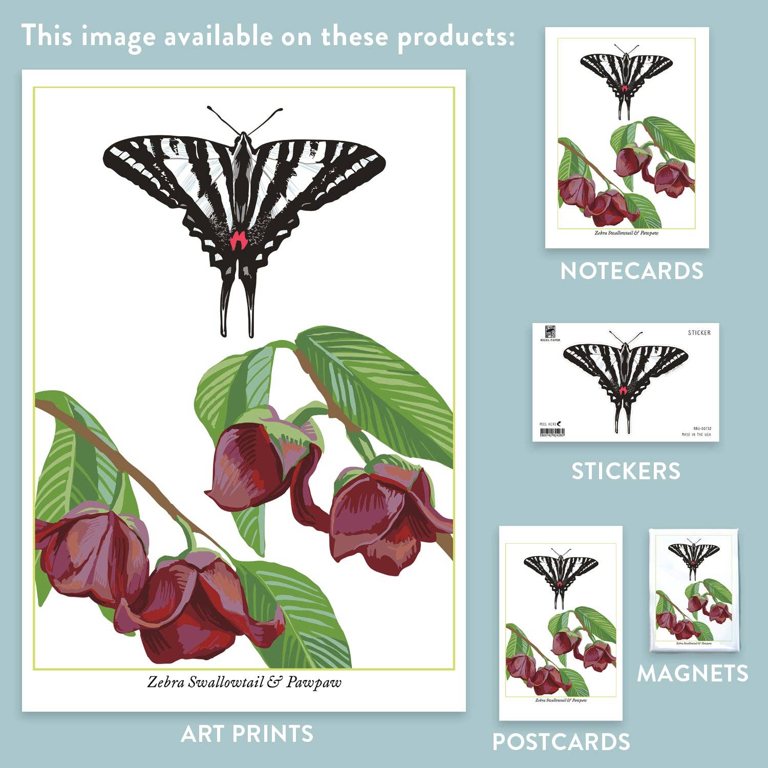Rigel Paper - Wholesale Magnet - RBU-752 Zebra Swallowtail Butterfly Magnet1