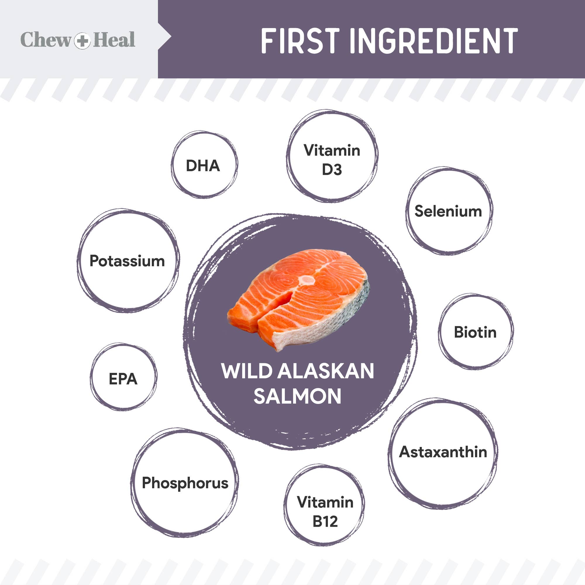 Chew + Heal - Wholesale Pet Treats - Dog - Senior Wild Alaskan Salmon Limited Ingredient Dog Treats4