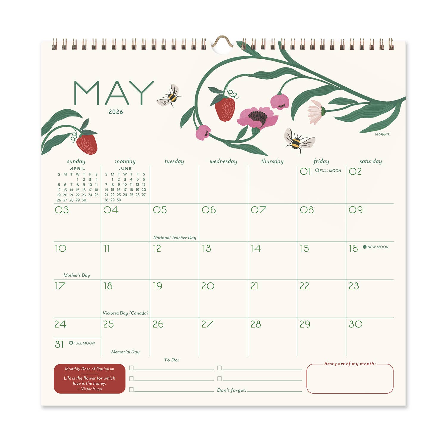 Seedlings - Wholesale Calendar - 2026 Seedlings Garden Party 12 Month Classic Grid Calendar18