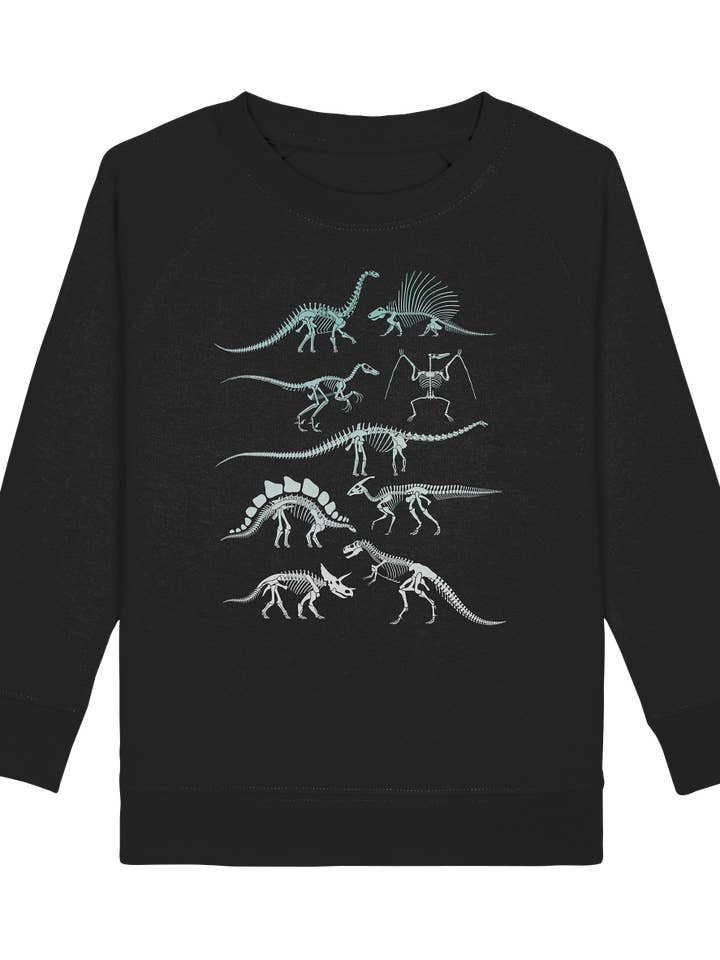 Dino Jungs Mädchen Dinosaurier Sweatshirt für den Großhandel von Tigerlino®