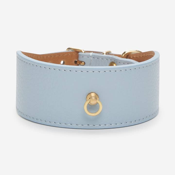 Branni Pets - Wholesale Pet Collar - Dog - JUNO SKY BLUE GREYHOUND COLLAR0