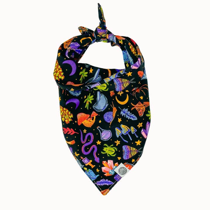 Salem Dog Bandana | Halloween Witch Bohemian Pet Scarf for wholesale by Camp Hound