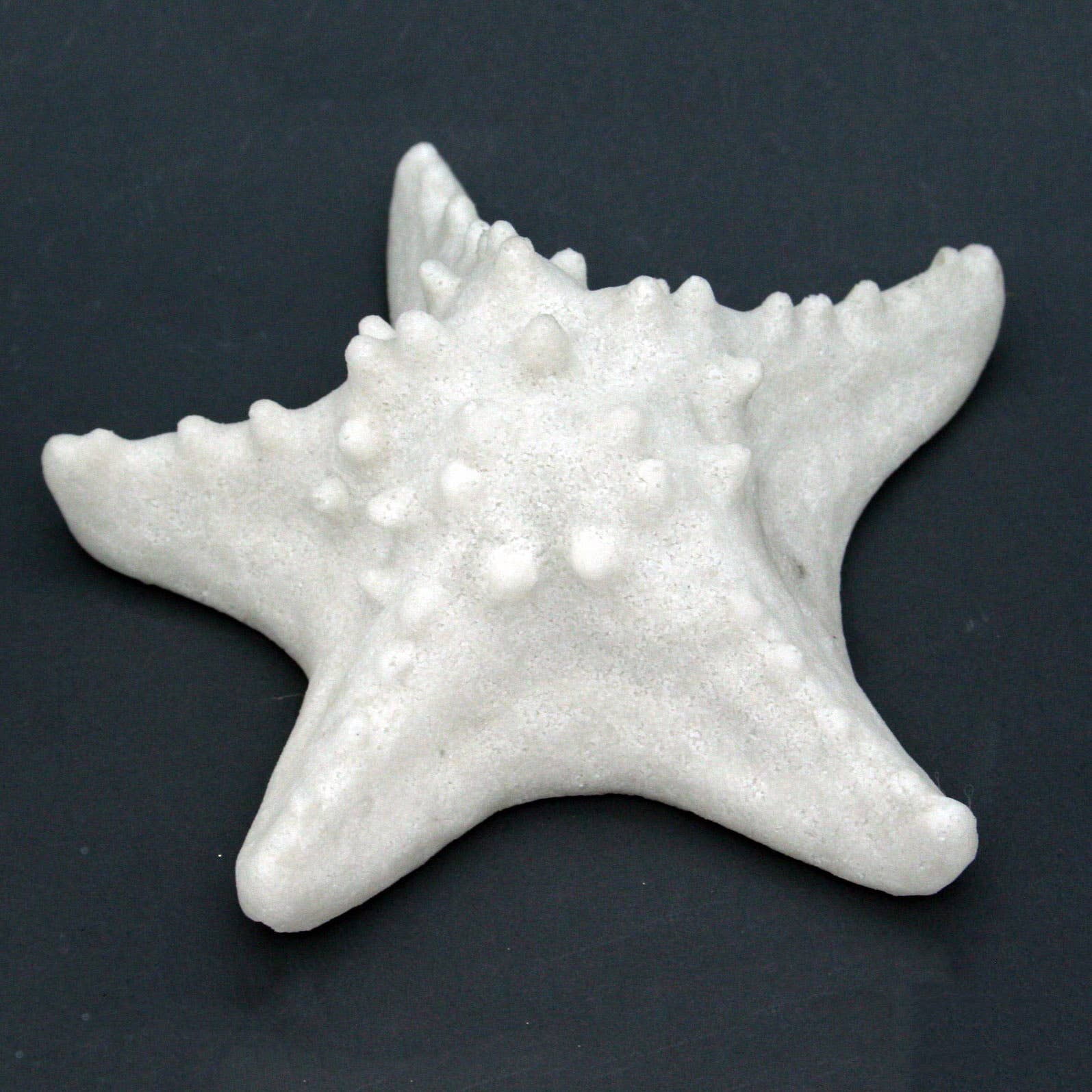 Modern Coastal by Contrast Inc. - Vendita all'ingrosso Lampada da scrivania/d'accento - Scatola luminosa a forma di stella marina in arenaria, luce calda e morbida1