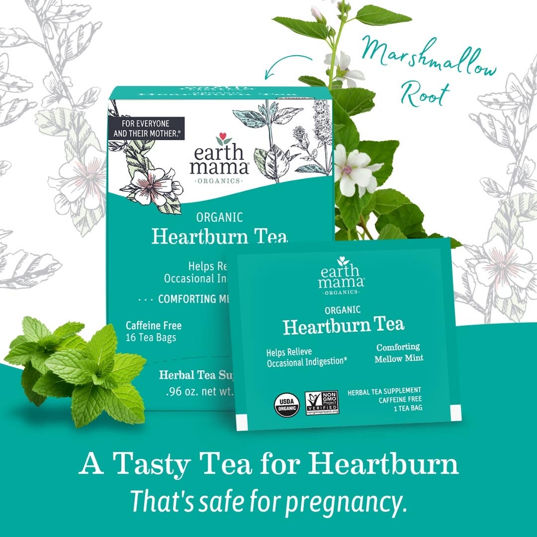 Earth Mama Organics - Wholesale Nursing Tea - Maternity - Organic Heartburn Tea1