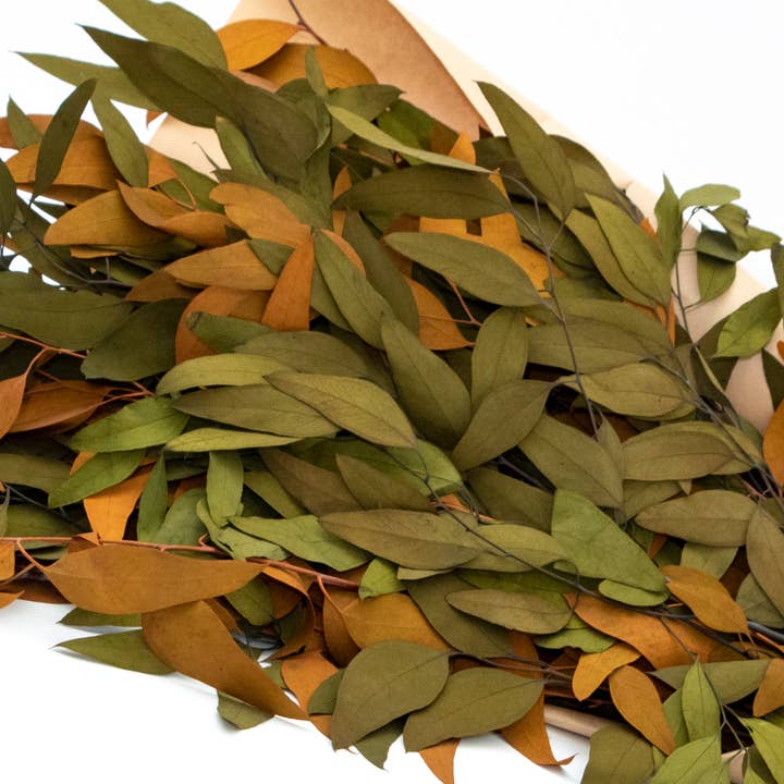 Andaluca - Wholesale Dried/Pressed Flowers - Farmhouse Willow Bundles9