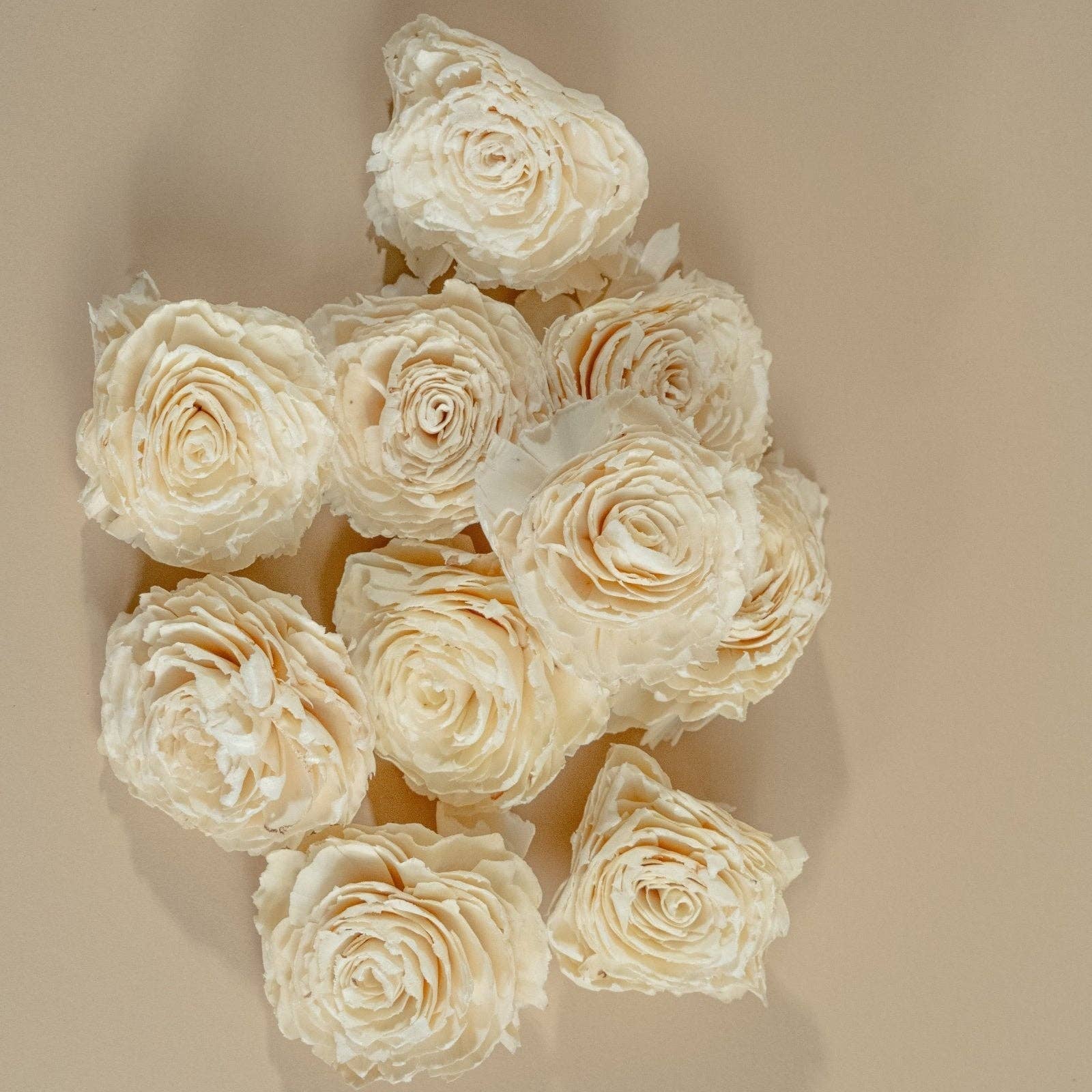 Sola Wood Flowers - Wholesale Artificial Flowers - 4" Dorothy (10 Pack)2