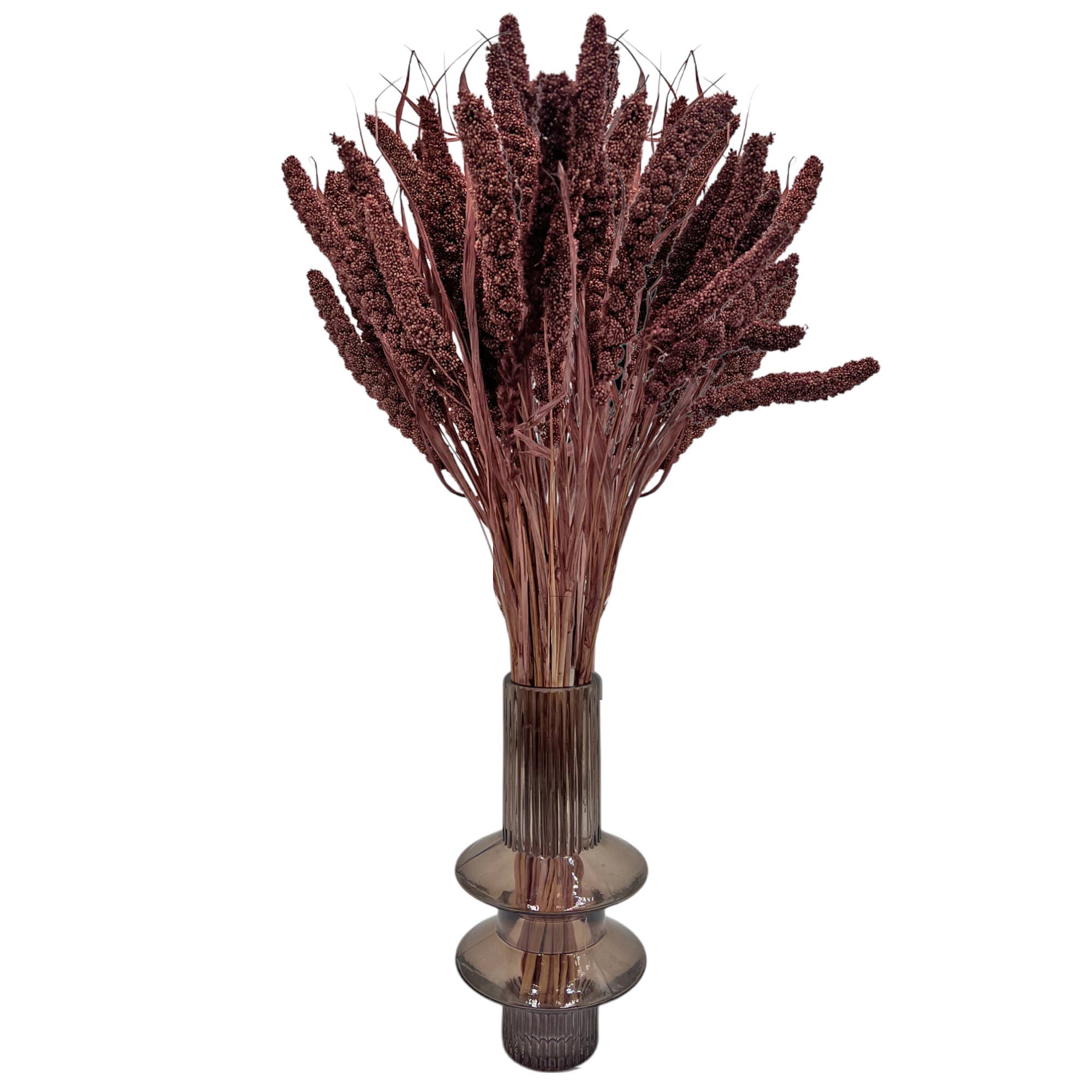 2626 Designs - Wholesale Dried/Pressed Flowers - Dried Preserved Millet Flower 21" Multiple Colors23