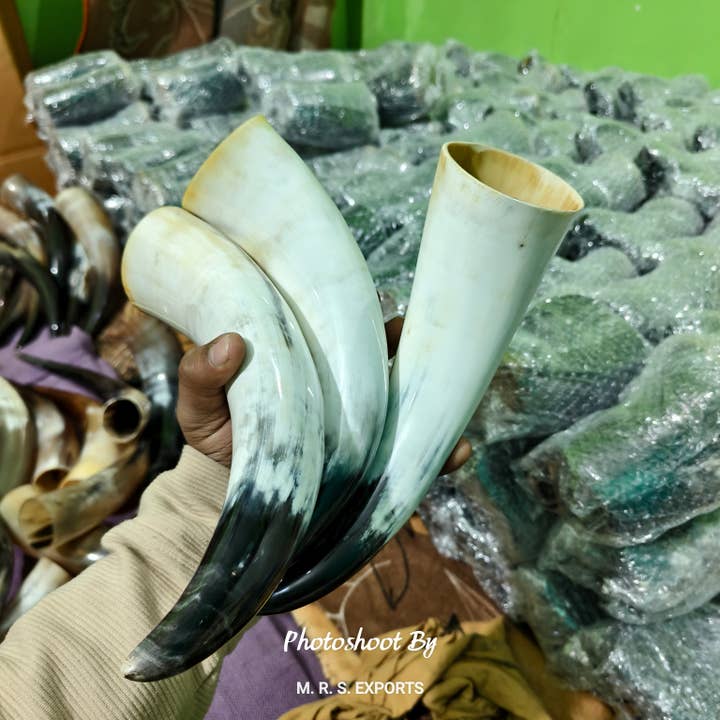 Pequeno Chifre Viking de Boi Chifre Medieval da Fábrica por atacado de M. R. S. EXPORTS